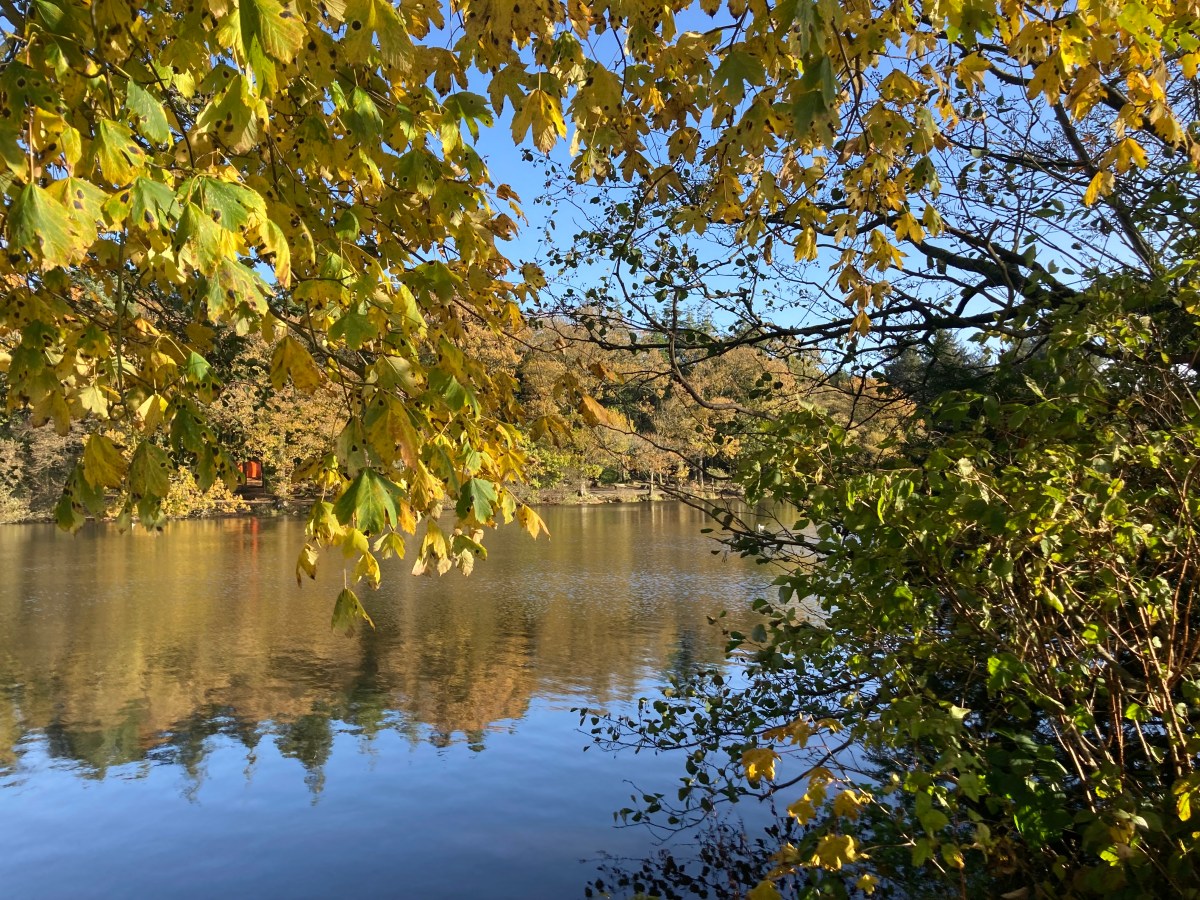 Autumn – a time to&nbsp;hibernate?