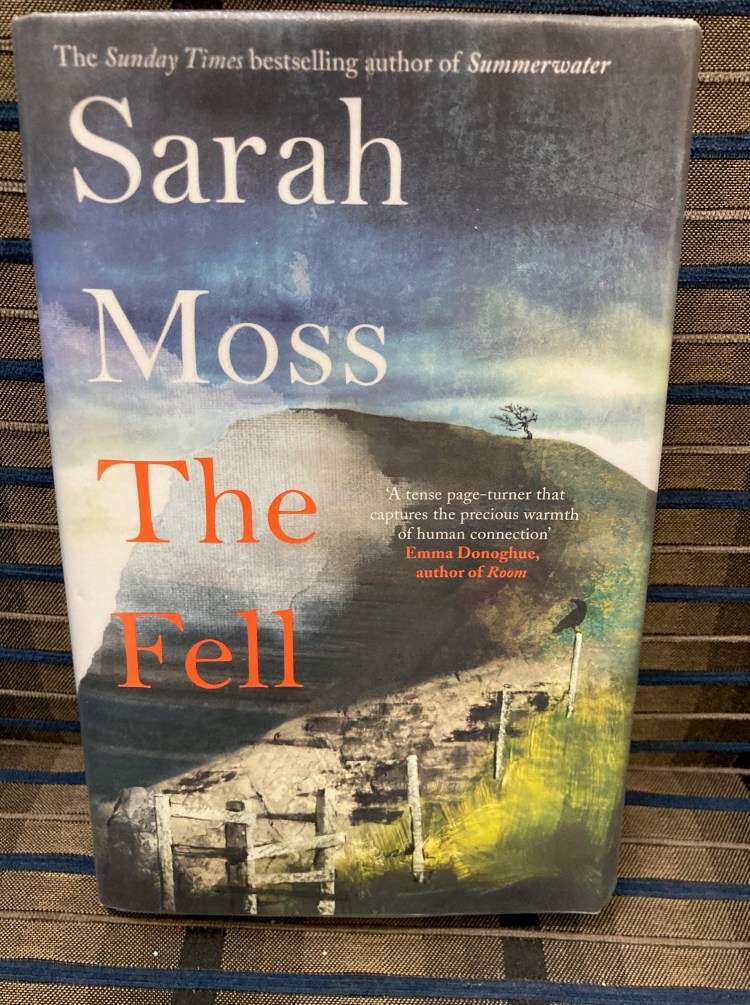The Fell by Sarah Moss